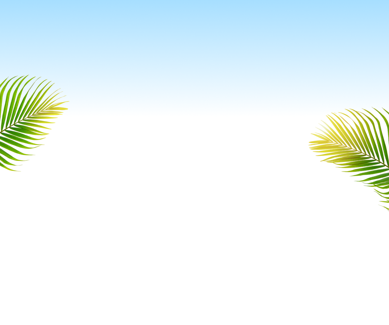 bg_sec_img_page1_sctn1